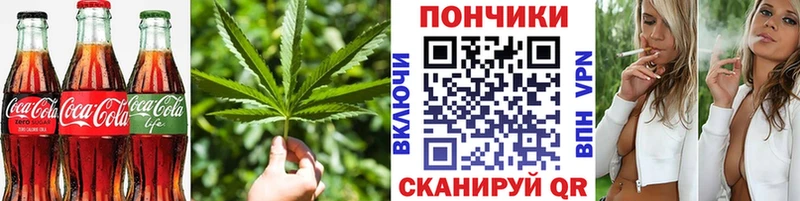 где купить наркотик  Новоалександровск  Cannafood конопля 