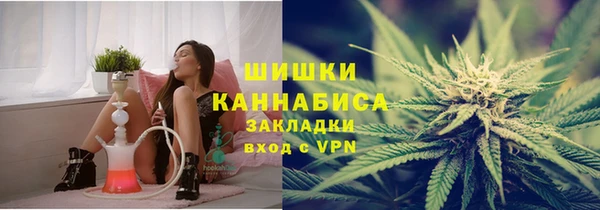 крисы Новозыбков