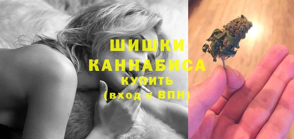 крисы Новокубанск