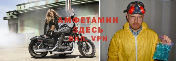 крисы Новозыбков