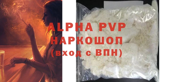 крисы Новозыбков