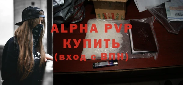крисы Новокубанск
