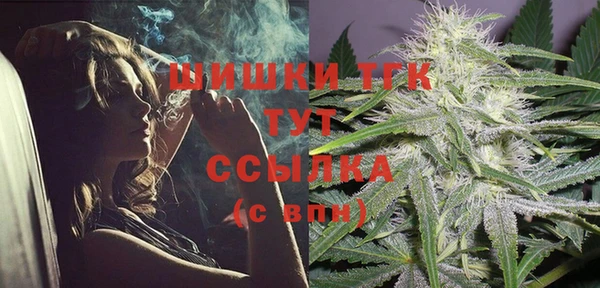 крисы Новокубанск