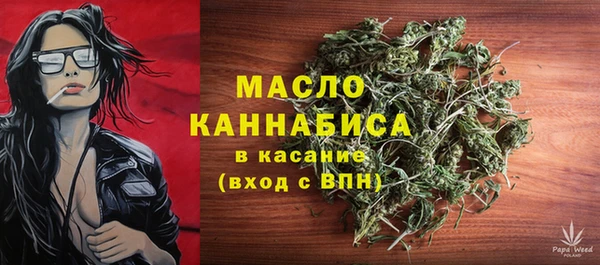 крисы Новозыбков