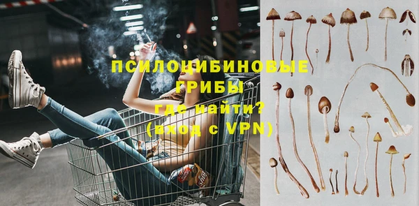 mdpv Бутурлиновка