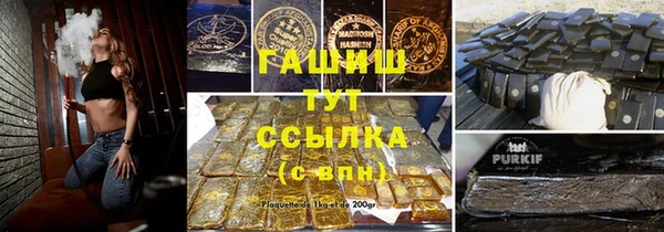 крисы Новозыбков