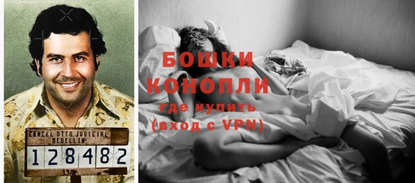 крисы Новозыбков