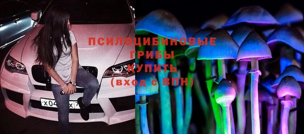 mdpv Новодвинск